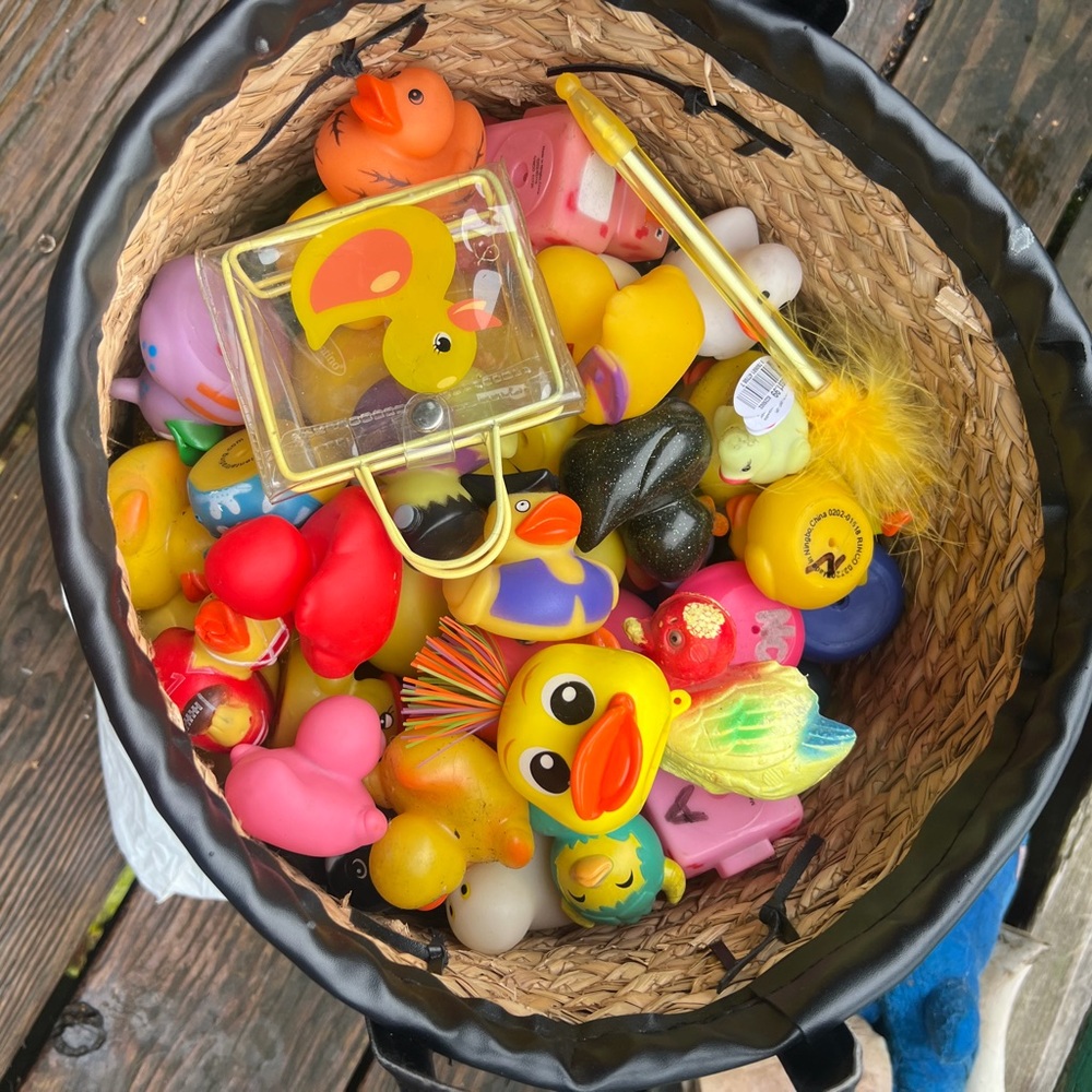 Colorful Rubber Duck Collection